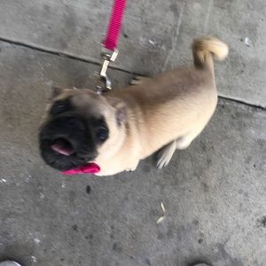 Meet your Posher, Raymond